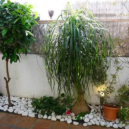 Casa Anduez * Nerja